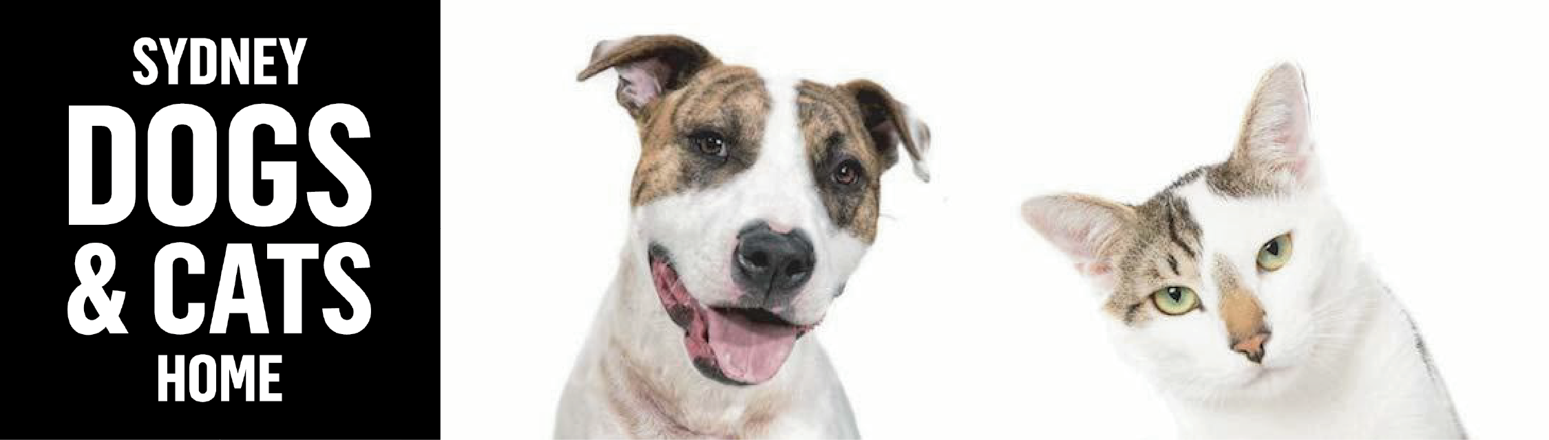 Donate to Sydney Dogs & Cats Home