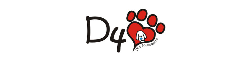 Desperate For Love Dog Pound Rescue Desperate For Love Dog Pound Rescue