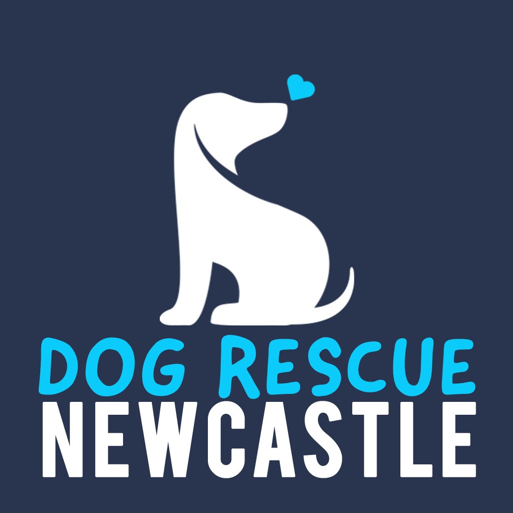 charity-logo