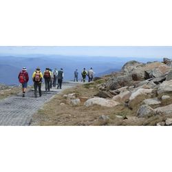 Australian Alps Ranger Relay