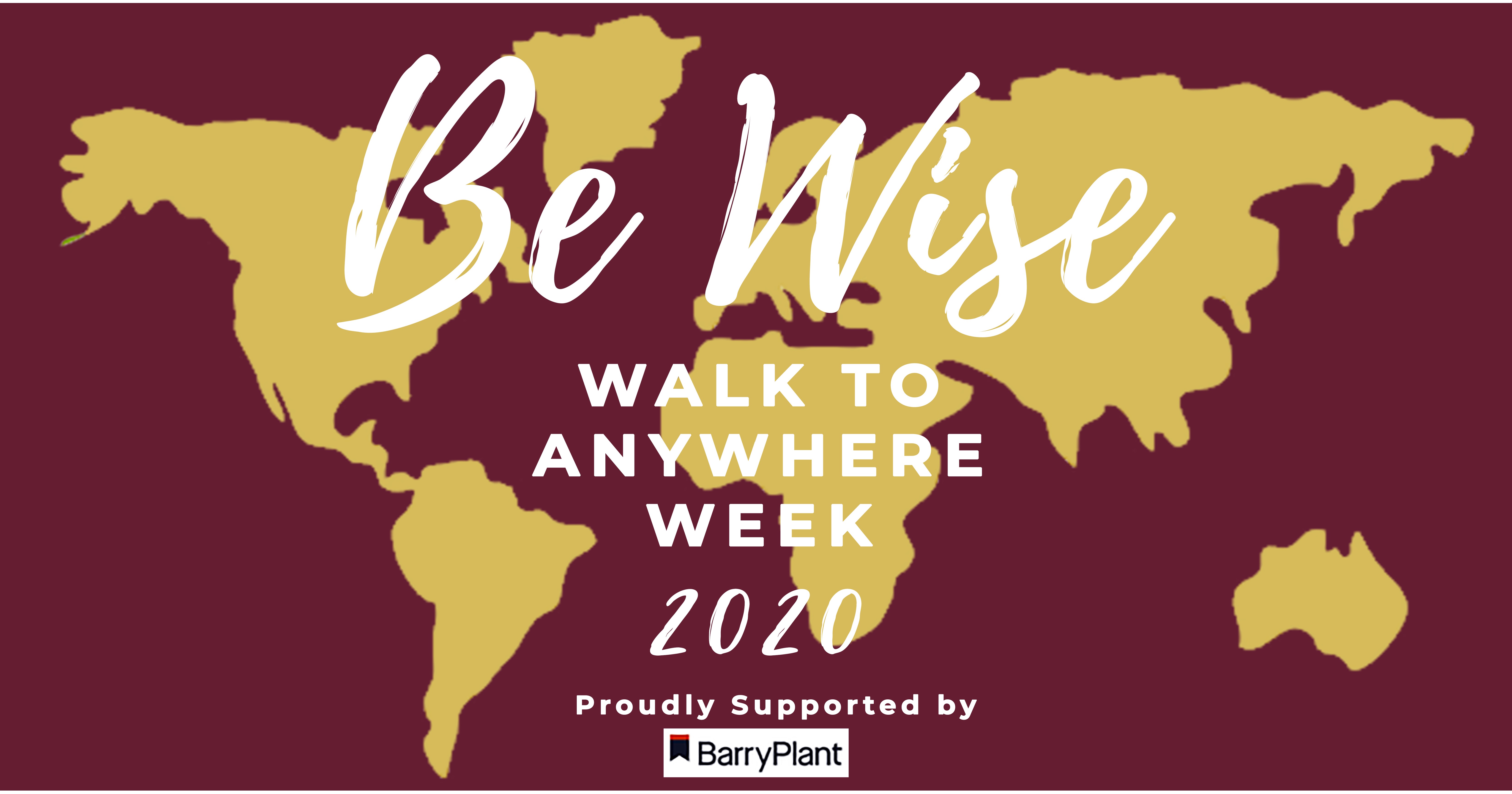 Pat Cronin Foundation Be Wise Walk to Anywhere 2020