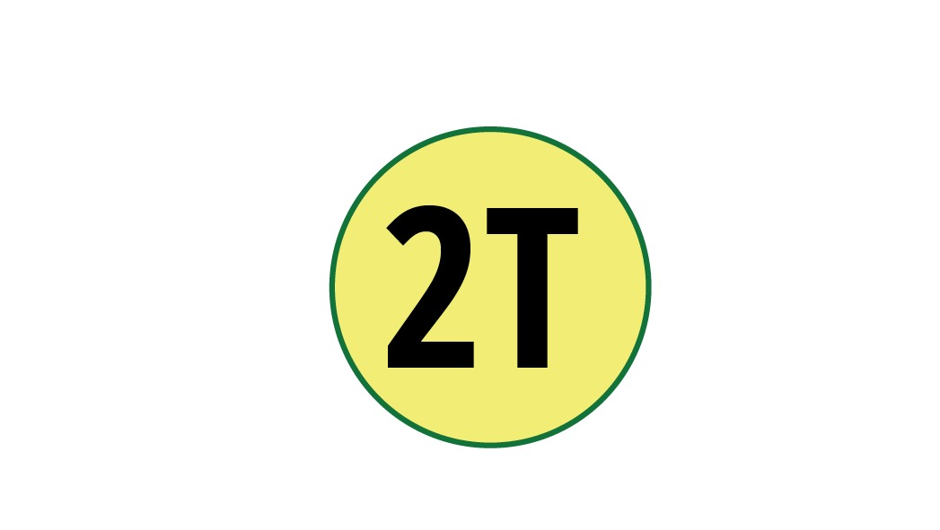 2T