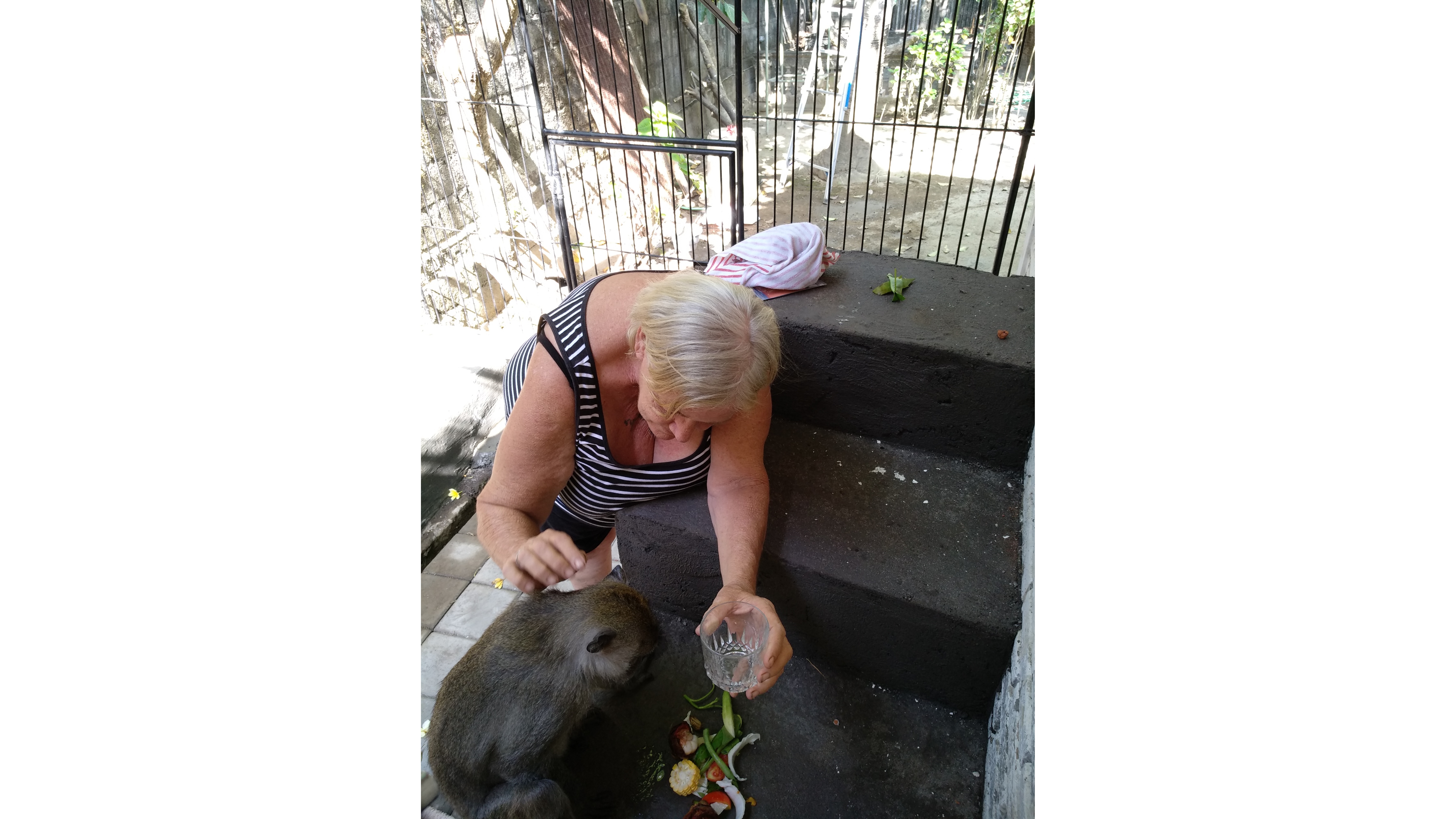 Bali Monkey Rescue Group