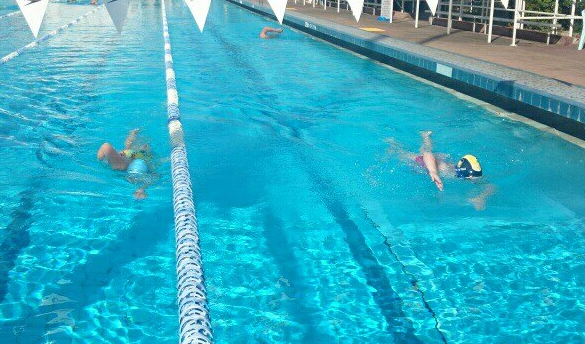 10km swim in lengths