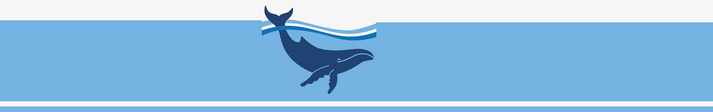 Stop Whaling Legal Fund