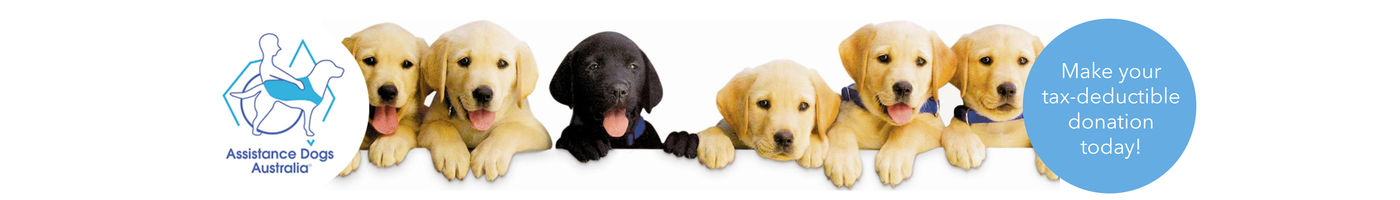 Michael & Fizz's Appeal for Assistance Dogs Australia!